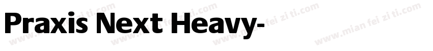 Praxis Next Heavy字体转换
